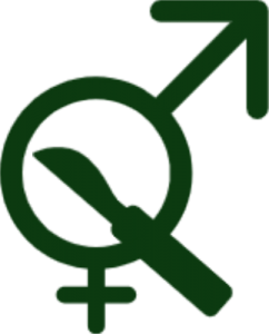 Sterilizare Castrare